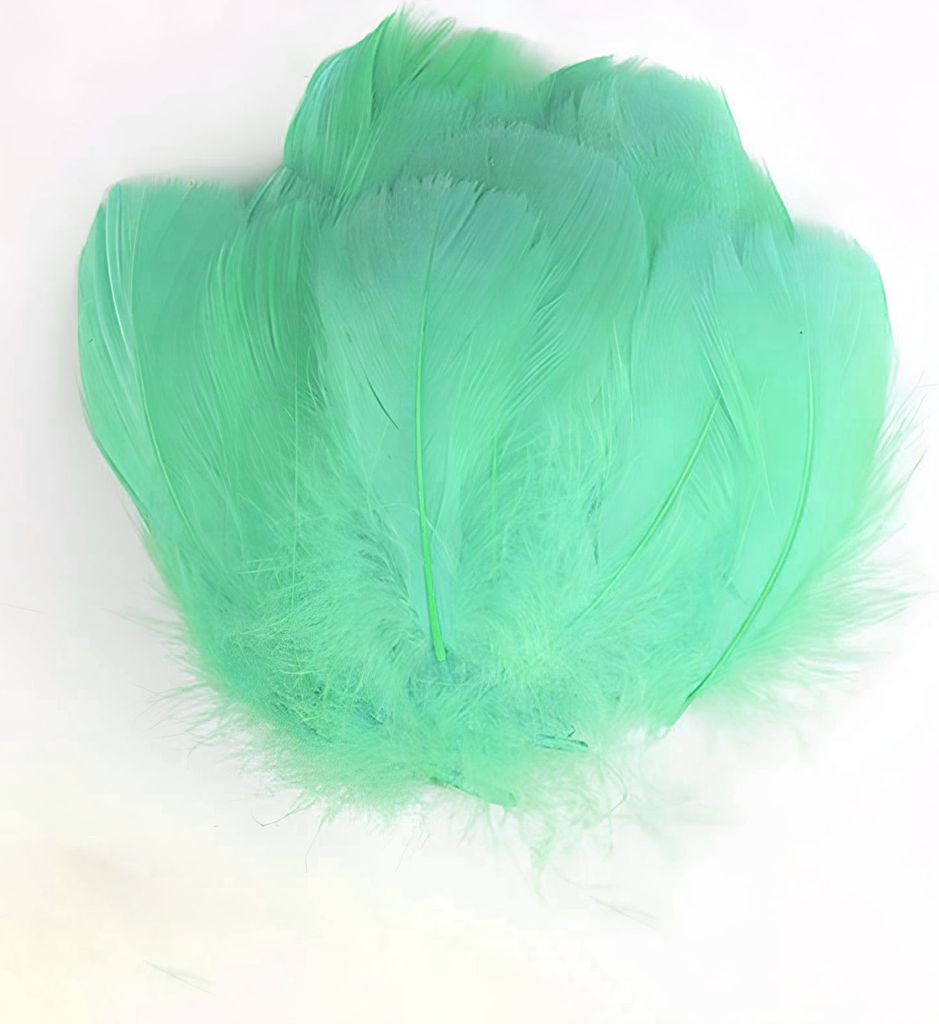 Federn Gänsefedern, ca. 7-12 cm, 5 Gramm, Mintgrün