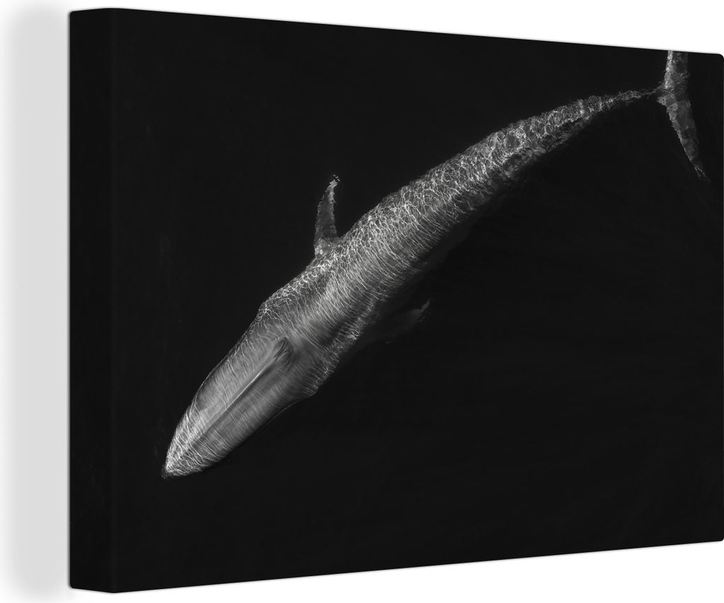 OneMillionCanvasses - Leinwandbilder - 140x90 cm, Blauwal - Schwarz - Weiß, Wandbilder Kunstdruck Wanddekoration - Foto auf Leinwand - Gemälde ...