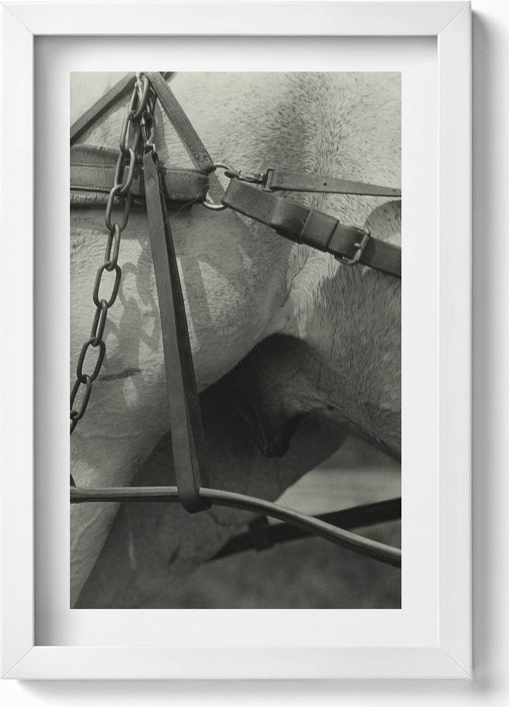 Nahaufnahme eines Pferdegeschirrs– Wandbild mit Rahmen – Gerahmtes Bild – Wanddekoration – 20x30 cm – Weiß