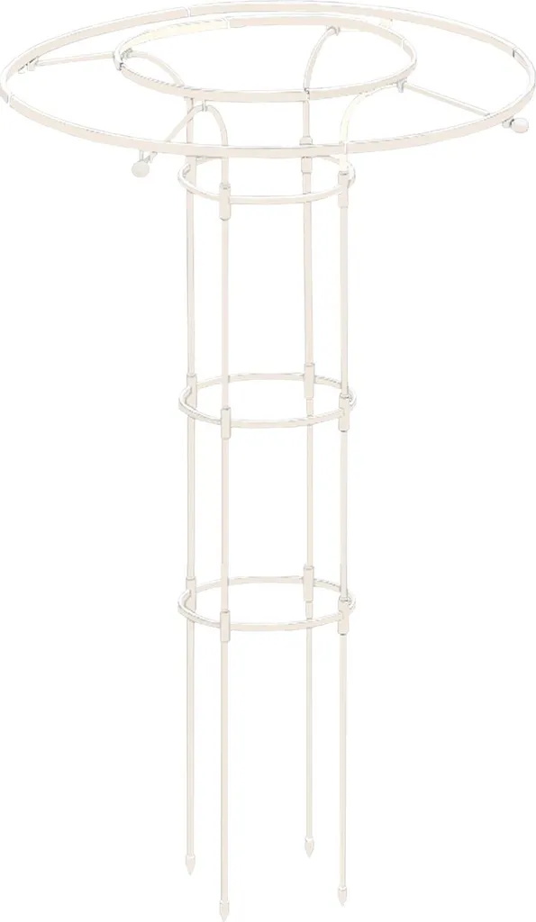 Arceau Parapluie pour Vigne et Rosier : Idéal pour Déco Jardin et Mur