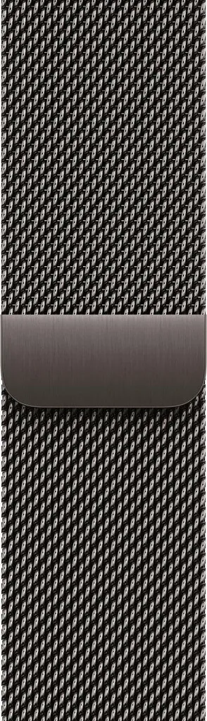 Bracelet Gourmette Apple Watch en Acier Inoxydable Ardoise d'Origine