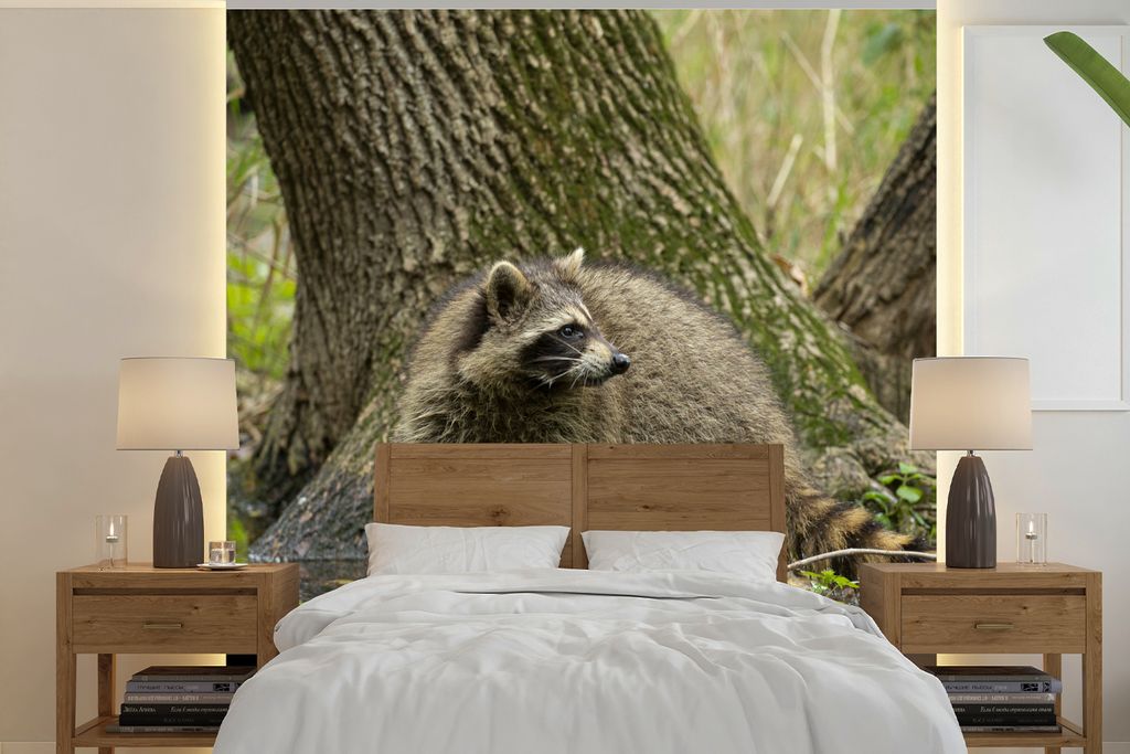 MuchoWow Fototapete für Wohnzimmer oder Schlafzimmer Wandtapete Vinyl Motivtapete Waschbär - Wasser - Wald - 260x260 cm - Papiertapeten