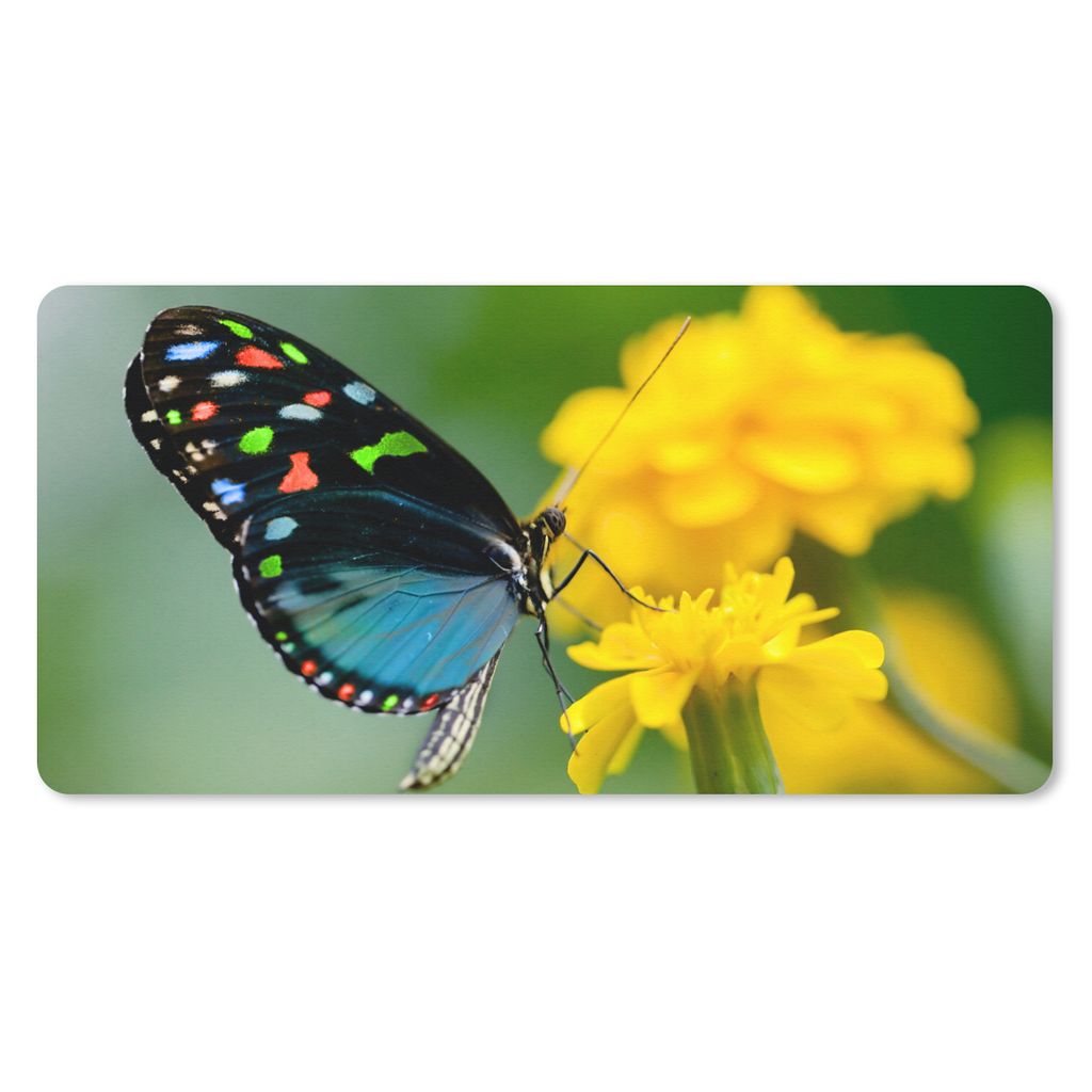 MuchoWow Schreibtischunterlage Schmetterling - Blume - Tier - Insekt 80x40 cm - XXL Mauspad - Gaming Mauspad