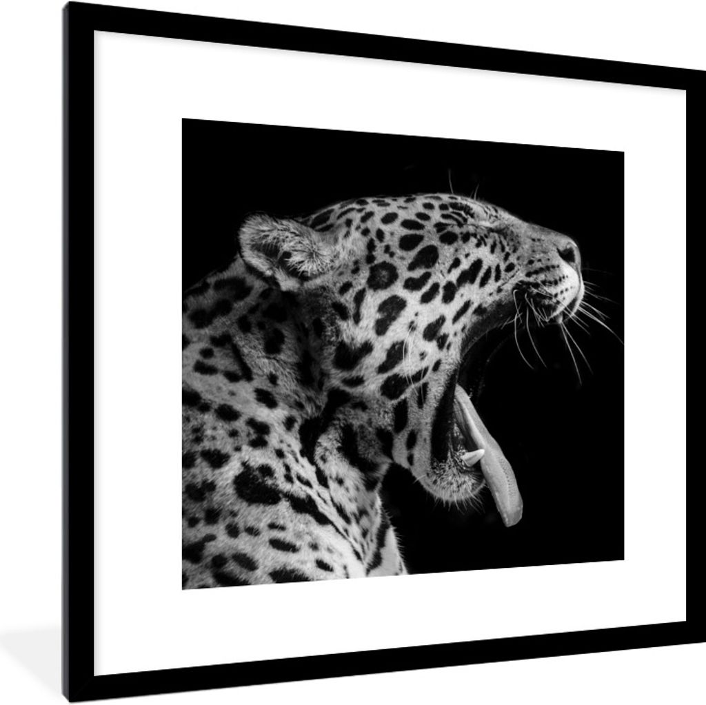 MuchoWow Gerahmtes Poster Jaguar - Tier - Schwarz - Weiß 40x40 cm - Poster mit Schwarzem Bilderrahmen Wandposter Rahmen Foto Bilder - Poster - P...