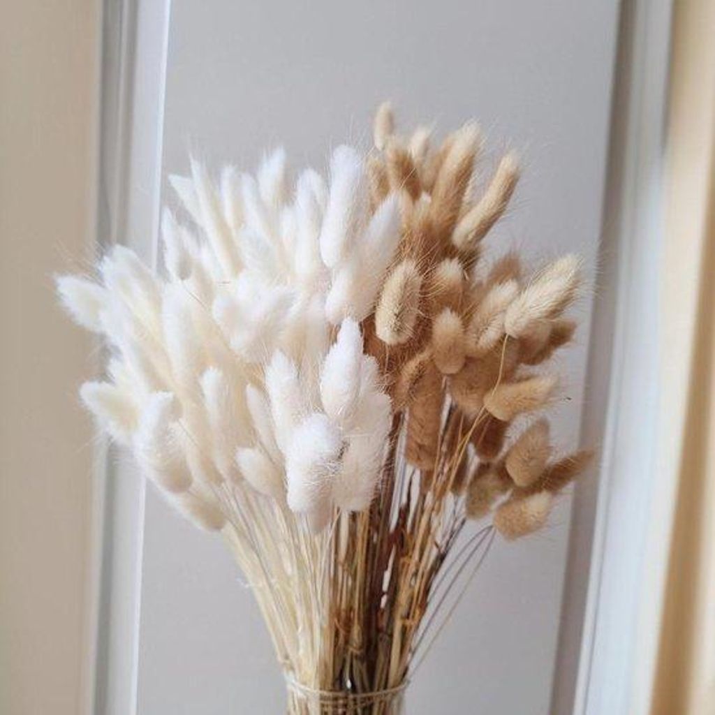 120 Stück kleine weiße Pampas-Blumen-Bouquet - natürliche und weiße trockene Blumen für Hochzeiten und Innenarchitektur