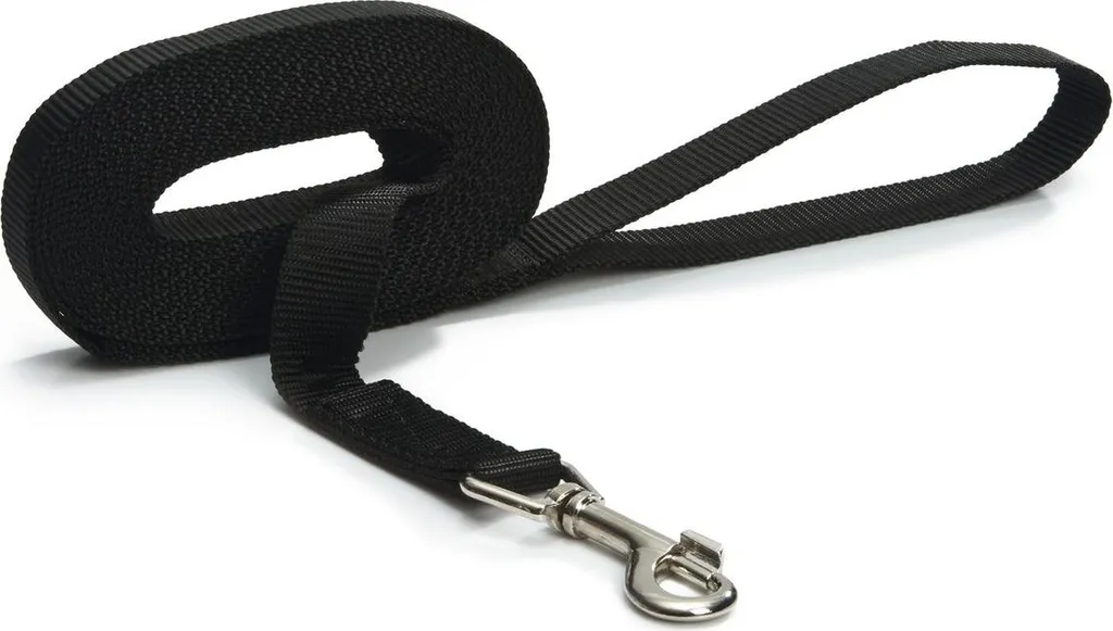 Beeztees Guinzaglio di Ricerca 5M Nylon Nero: Training e Libertà per Cani