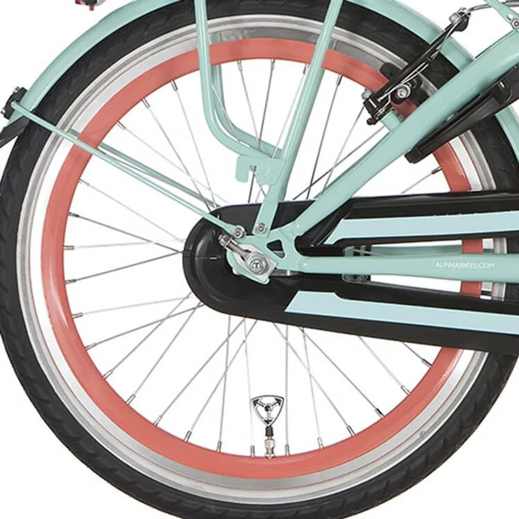 Roue Arrière de Rechange 20 Pouces Alpina J19DB Salomon Zinc SPK