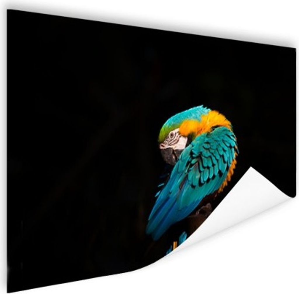 MuchoWow Poster Porträt nein 180x120 cm - Fotoplakat