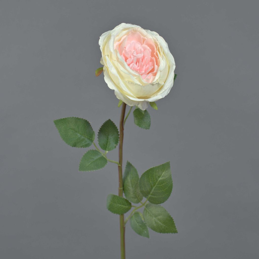 artplants.de Kunst Rose THYRI, Creme-rosa, 65cm - Textil Rose