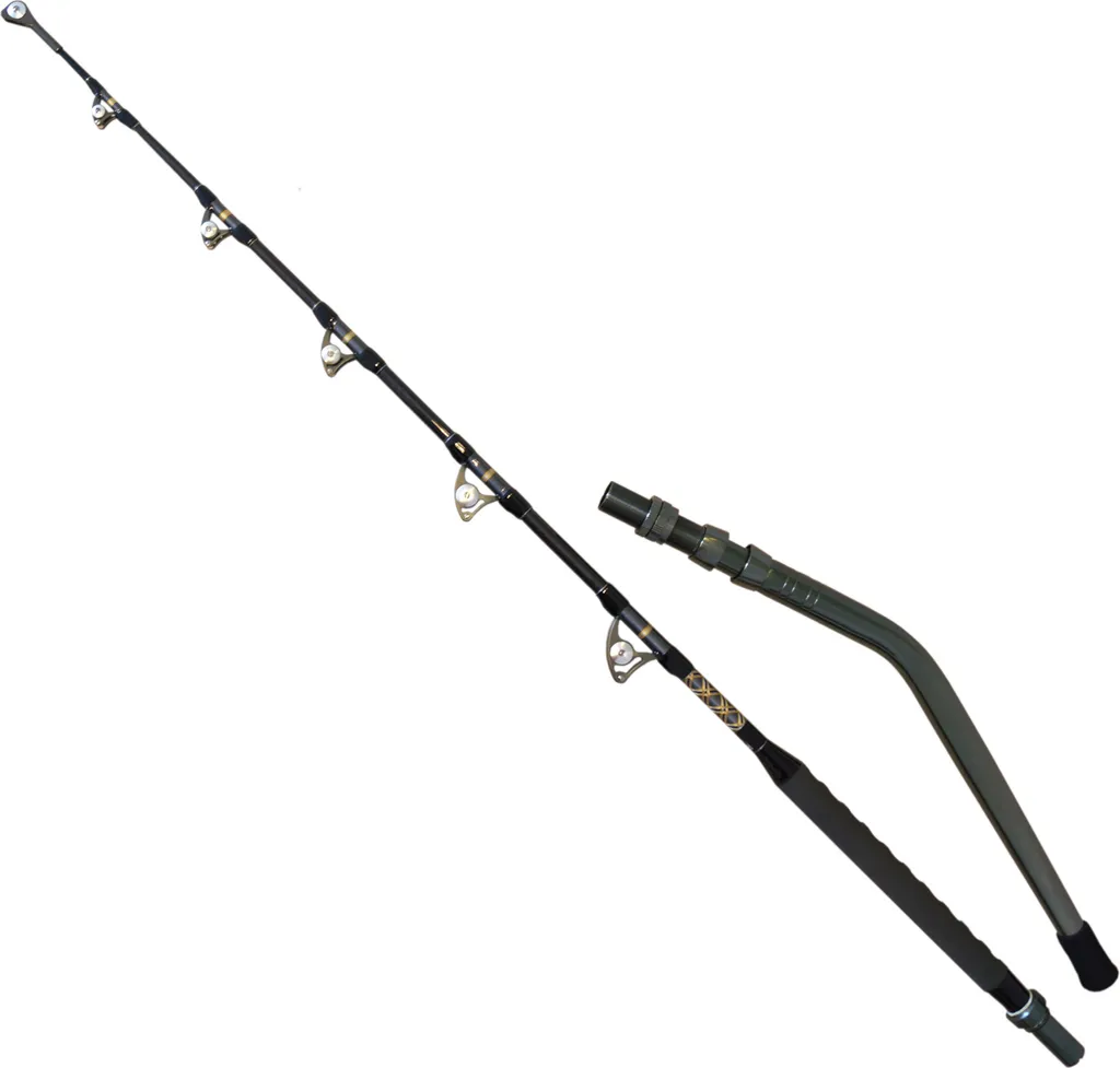 Canne Traîne Shimano Tyrnos 80B Idéale pour Thon et Gros Pélagiques