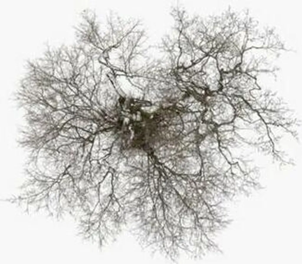 Arbre artificiel pour bureau et accueil sans entretien aspect naturel