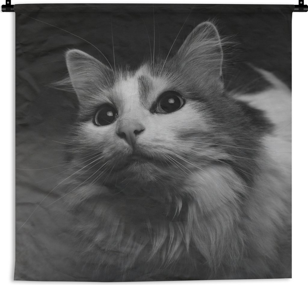 MuchoWow Wandteppich Wandbehang Tierprofil Katze in schwarz und weiß 150x150 cm Tapisserie Dekoration Wandtuch - Wohnaccessoires - Modernes