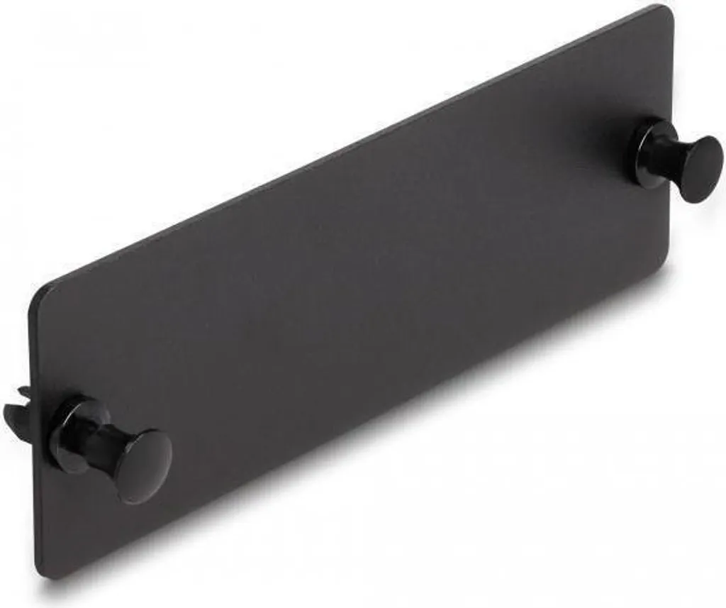 Panneau de fermeture 19 pouces Delock 66935 noir pour baie informatique
