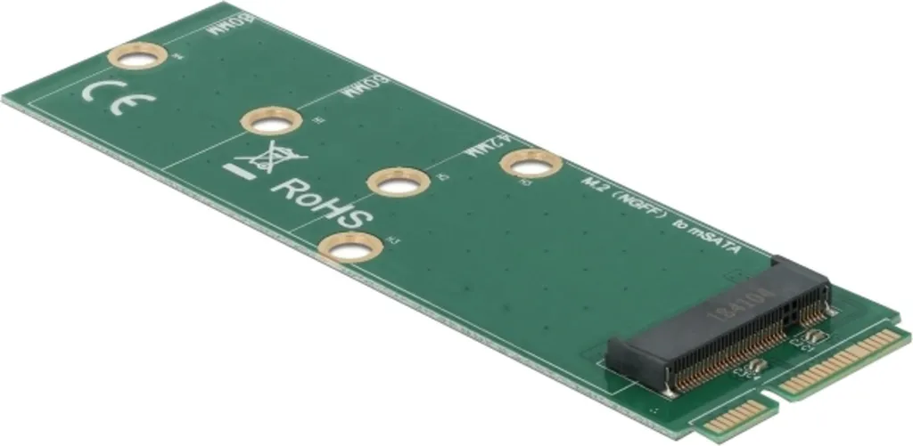 Adattatore Delock mSATA a M.2 Key B: Upgrade SSD per Vecchi PC e Laptop