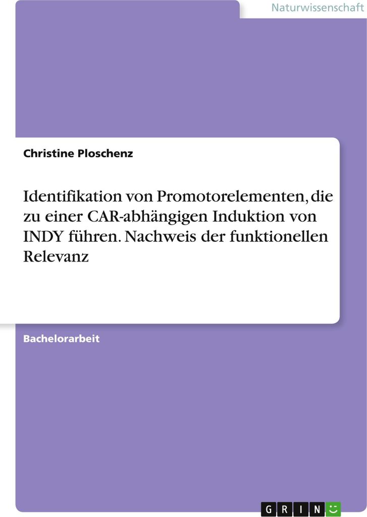 Identifikation von Promotorelementen, die zu einer CAR-abhängigen Induktion von INDY führen. Nachweis der funktionellen Relevanz