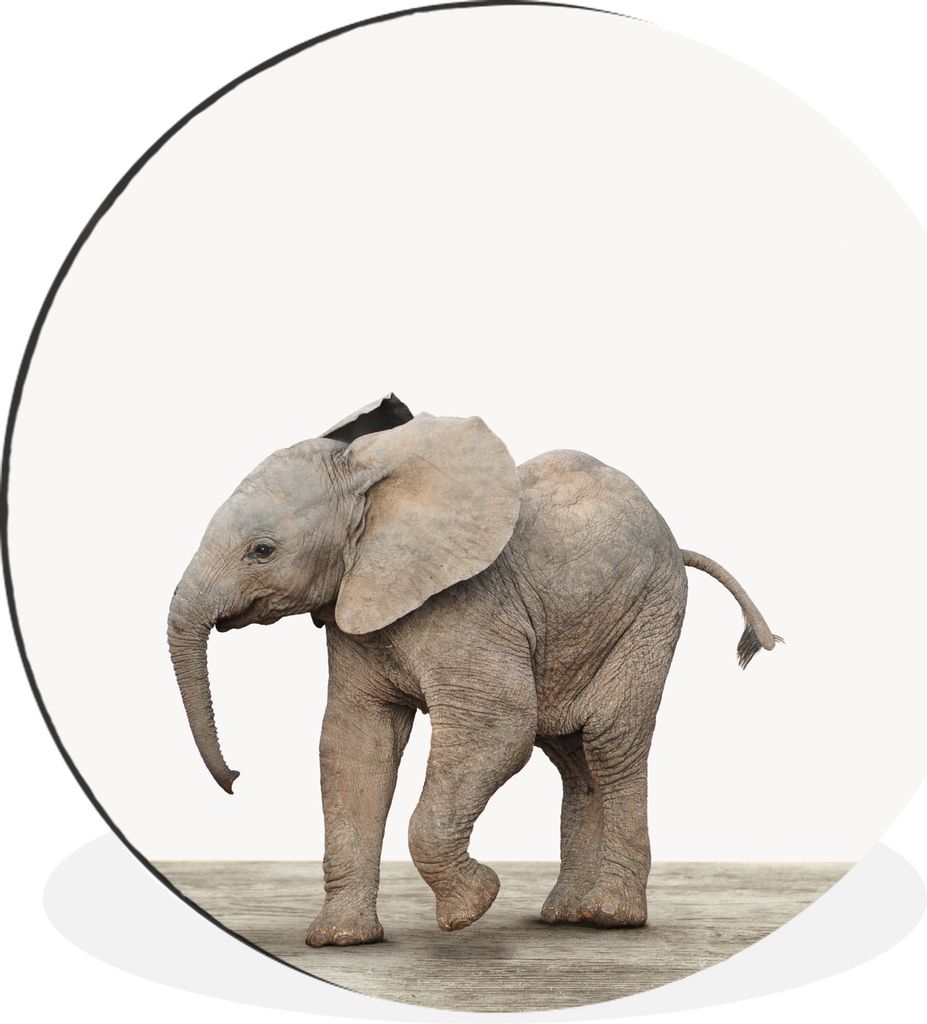 MuchoWow Aluminium Wandkreis Baby-Elefant - Tiere - Kinder - Mädchen - Jungen Ø 60 cm Wanddeko Modern Wohnzimmer - Wand Kreis - Wandbild - Schl...