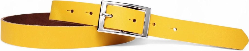 FRONHOFER günstiger Damengürtel 2,5 cm, silberne Schnalle, echt Leder