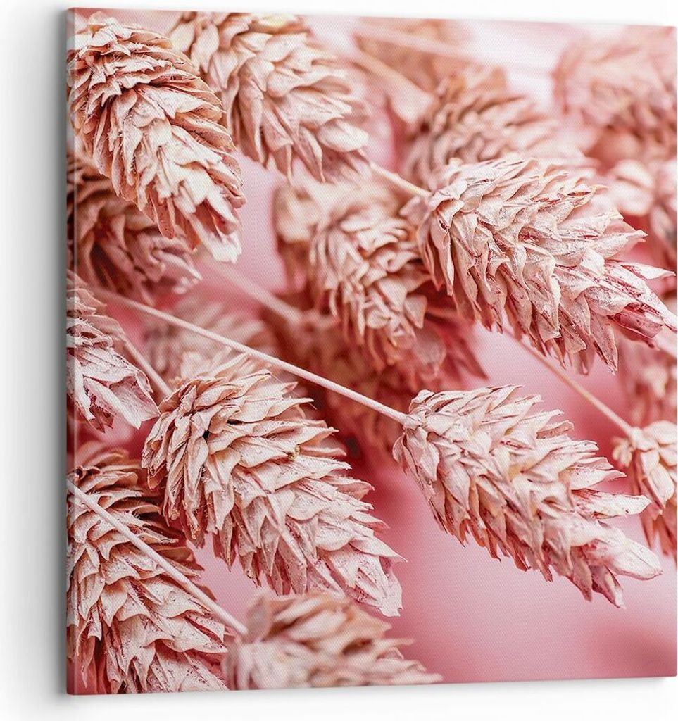 Bild auf Leinwand - Leinwandbild - Einteilig - Klinge Gras getrocknet - 70x70cm - Wand Bild - Wanddeko - Wandbilder - Leinwanddruck - Bilder - Wand...