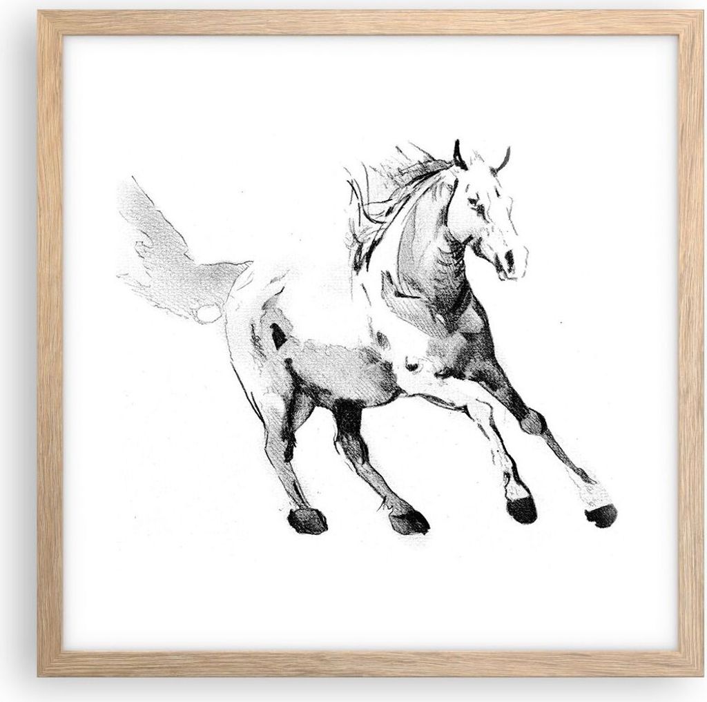 Gerahmtes Poster - Rahmen in heller Eiche - Pferd Galopp Tier - 40x40 cm - Wand Bild - Wanddeko - Wandbilder - Kunstposter - Wandposter - Bilderrah...