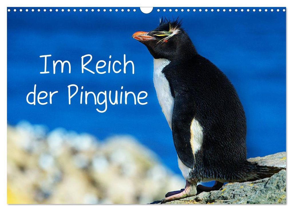 Im Reich der Pinguine (Wandkalender 2027 DIN A3 quer), CALVENDO Monatskalender