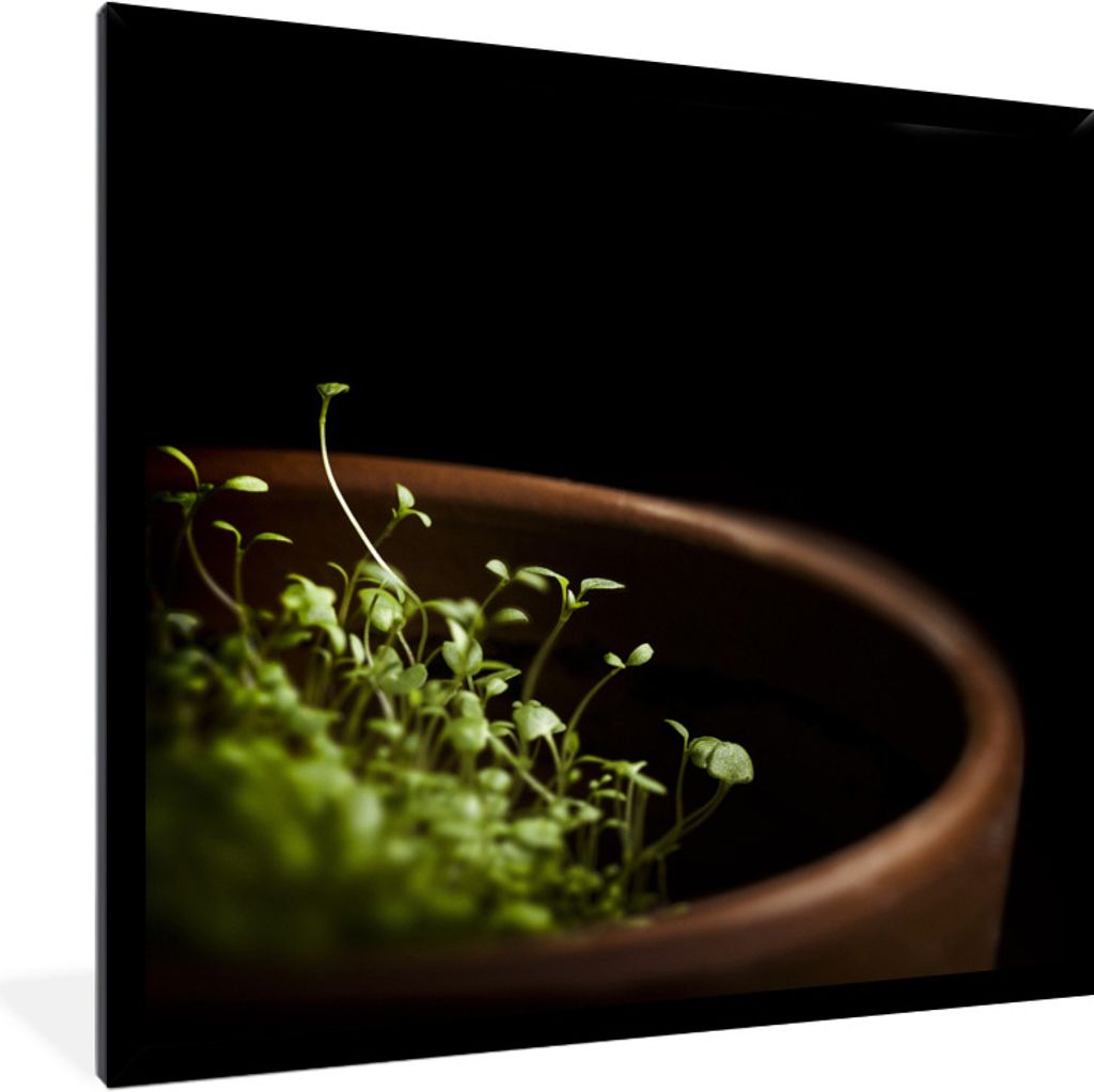 MuchoWow Gerahmtes Poster Pflanzung von Thymian in einem Tontopf 40x40 cm - Poster mit Schwarzem Bilderrahmen Wandposter Rahmen Foto Bilder - Mit...