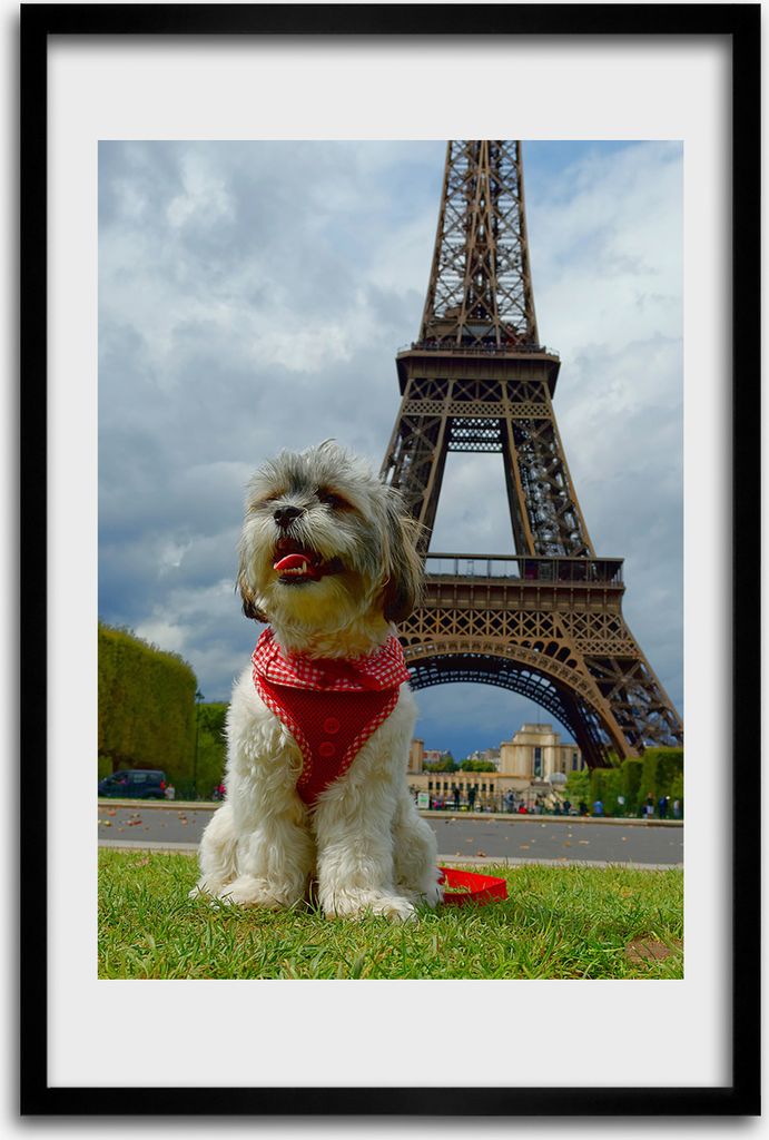 Bild - Bilderrahmen - 40 cm x 60 cm - MDF - Rahmen - Wandkunst - Hund in Paris