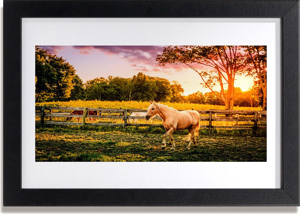 Bild 30x20 MDF-Rahmen Wandkunst Pferd Wiese Natur Tiere