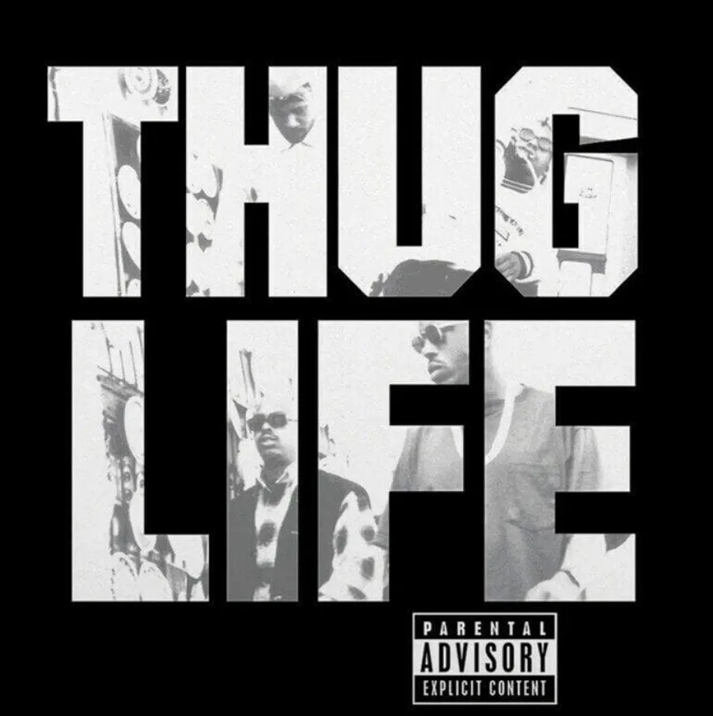 Album 2Pac Thug Life Vol 1 Édition Limitée Anniversaire Réédition LP