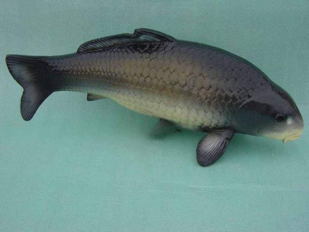 Design Fisch Figur Garten Statue Skulptur Figuren Skulpturen Dekoration Deko Neu