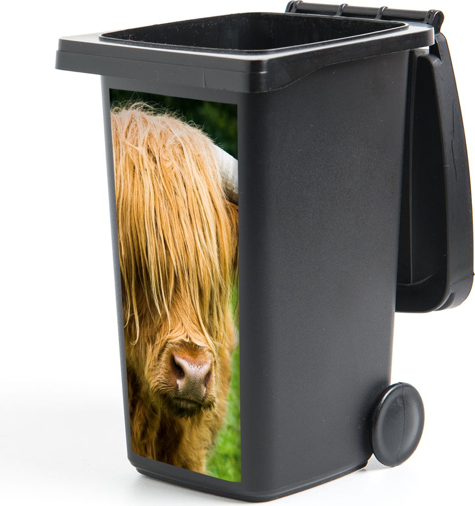 MuchoWow Mülltonnenaufkleber Schottischer Highlander - Kuhfell - Porträt 44x98 cm - Containeraufkleber - Aufkleber - Mülltonnen-Aufkleber
