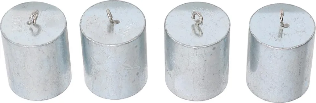 Set 4 Pesi Didattici 200g - Acciaio Cromato per Esperimenti di Fisica