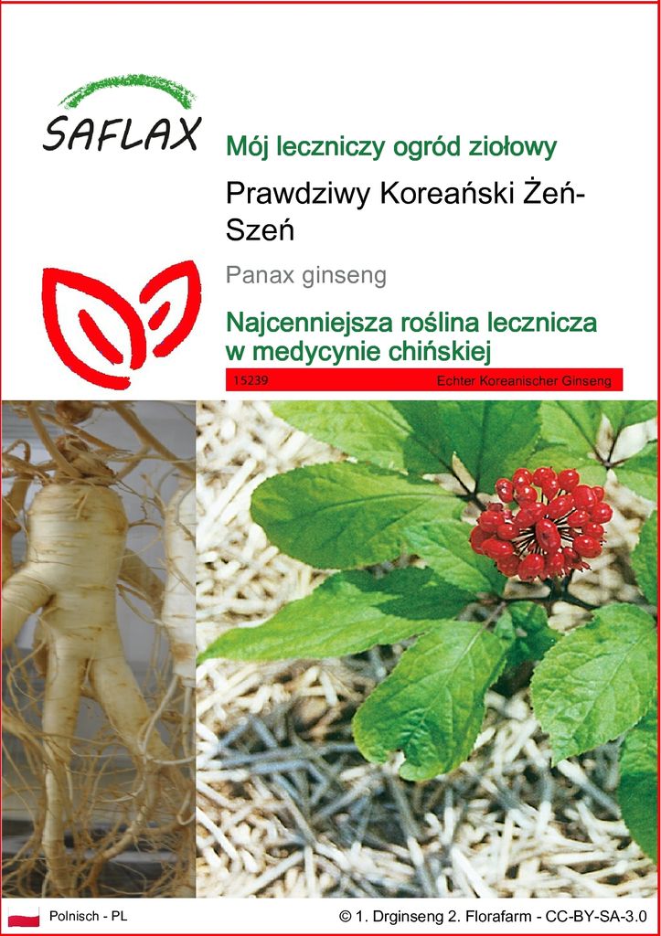 SAFLAX - Prawdziwy Koreański Żeń-Szeń - 10 Nasiona - Panax