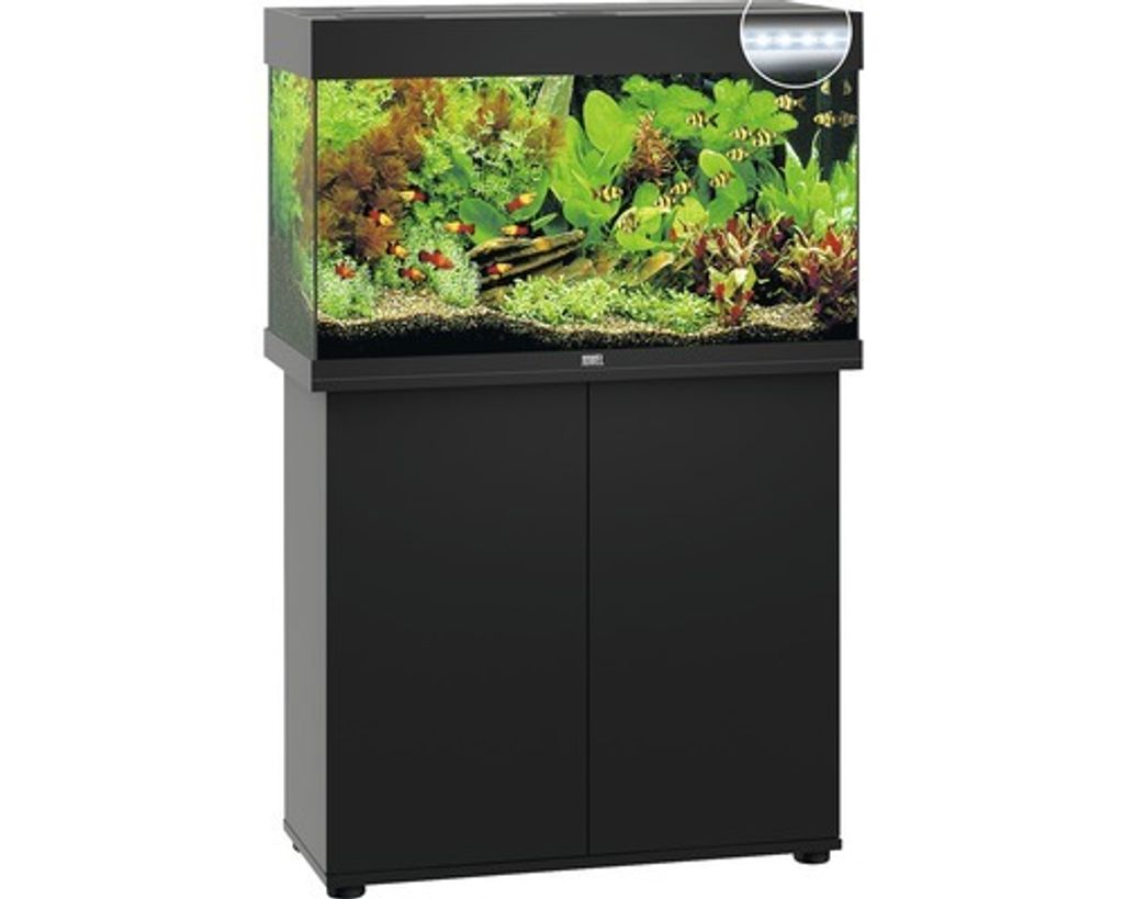 Aquariumkombination JUWEL Rio 125 SBX mit LED-Beleuchtung, Heizer, Filter und Unterschrank schwarz