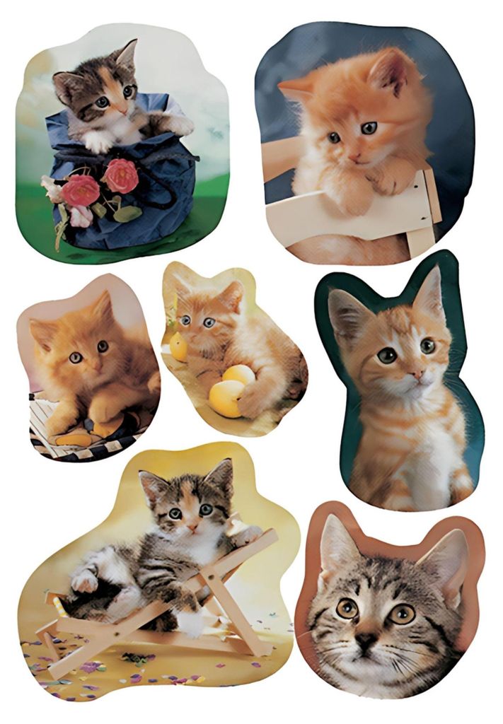 Autocollants de décoration ludique avec des chats Image du produit 
