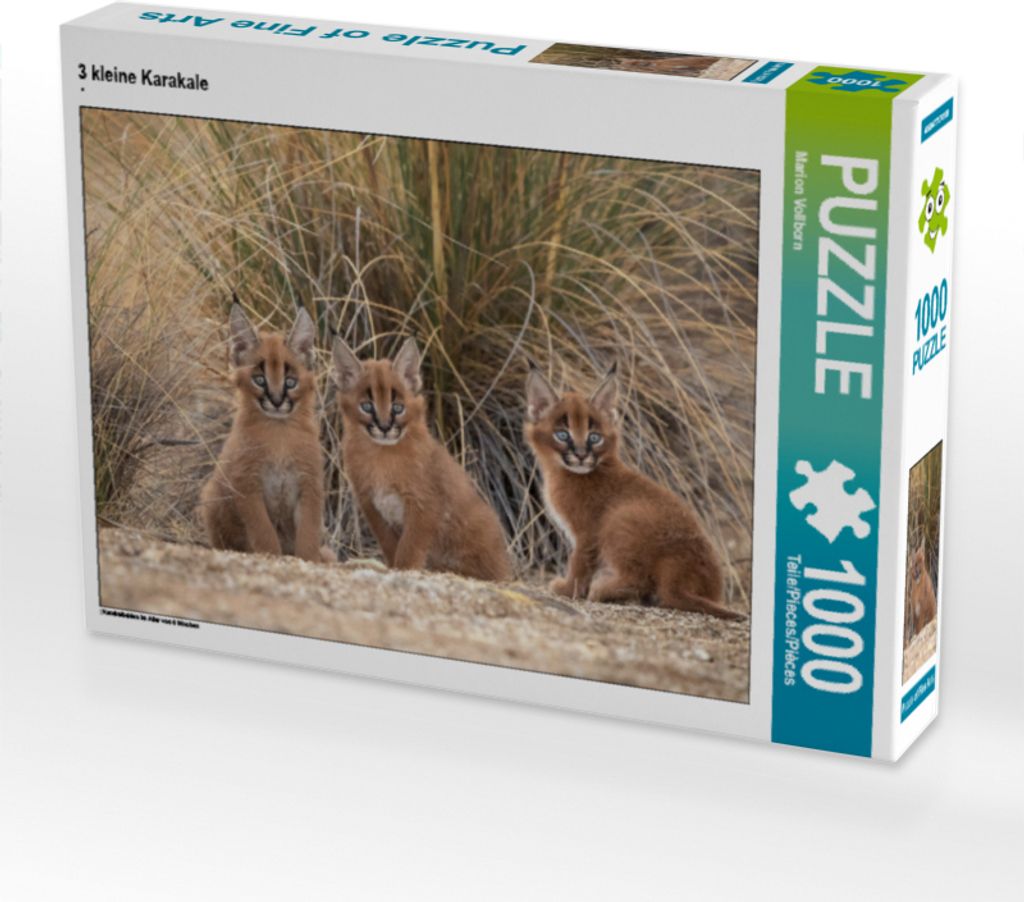 CALVENDO Puzzle 3 kleine Karakale | 1000 Teile Lege-Größe 64x48cm Foto-Puzzle für glückliche Stunden