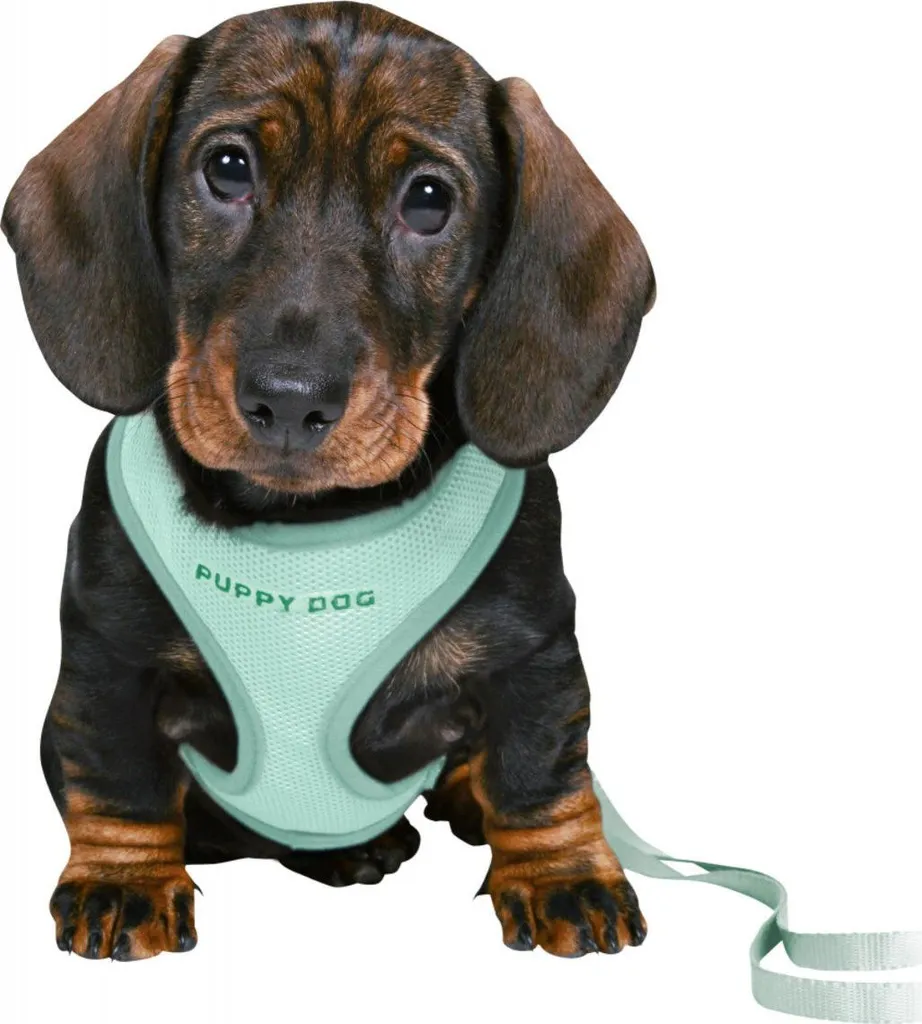 Pettorina Cuccioli Menta Trixie Junior Soft M-L Set con Guinzaglio