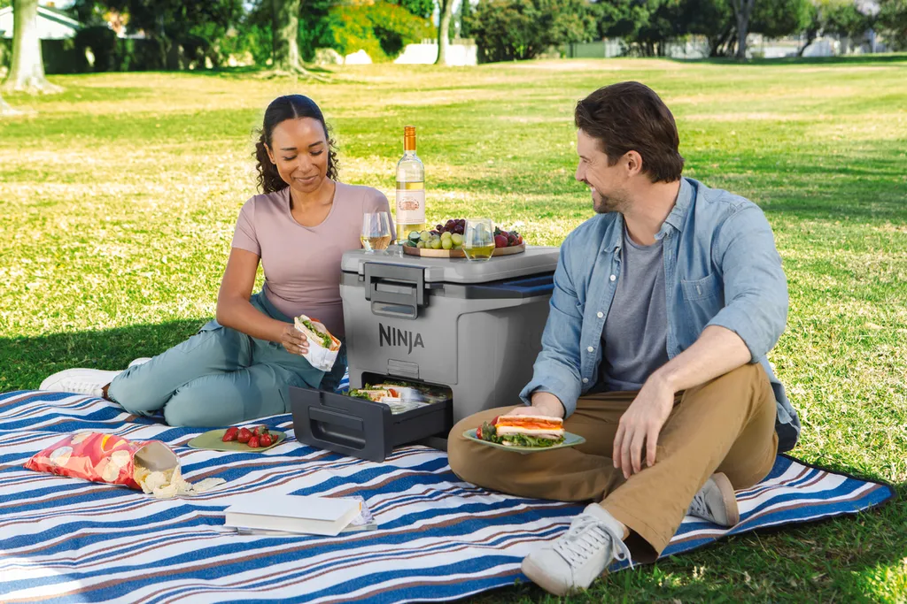 Glacière Rigide Ninja FrostVault 28 Litres avec Tiroir Sec Intégré Gris