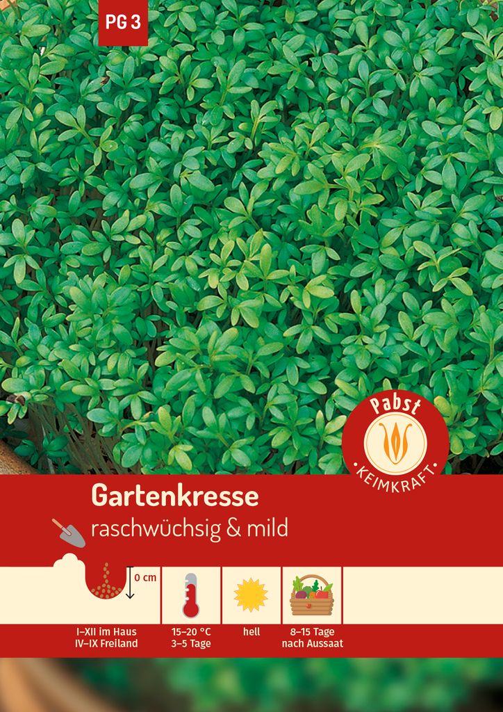 Gartenkresse Einfache | Kressesamen von Carl Pabst
