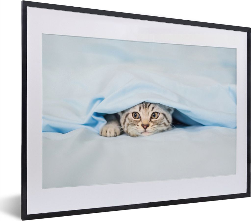 MuchoWow MuchoWow Gerahmtes Poster Ein Kätzchen unter einer Decke 40x30 cm - Poster mit zchwarzem Bilderrahmen - Bilderrahmen - Poster im Rahmen