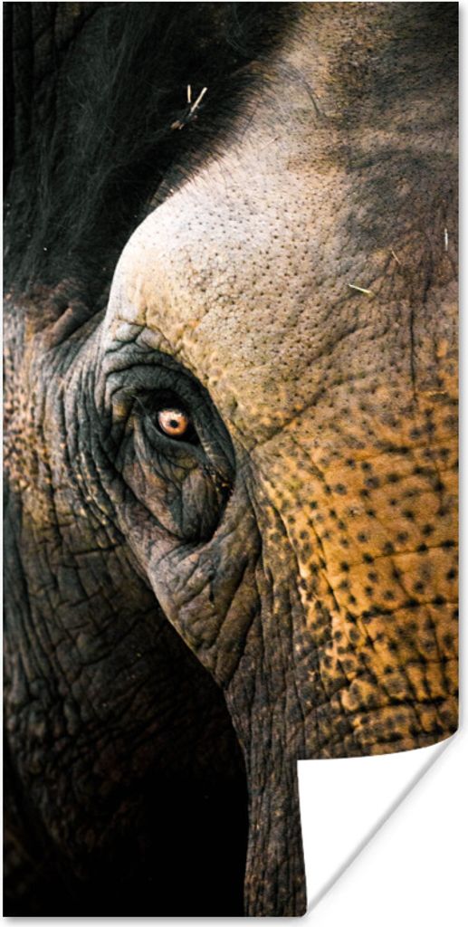 MuchoWow Poster Nahaufnahme eines Elefantenauges 40x80 cm - Dekoration