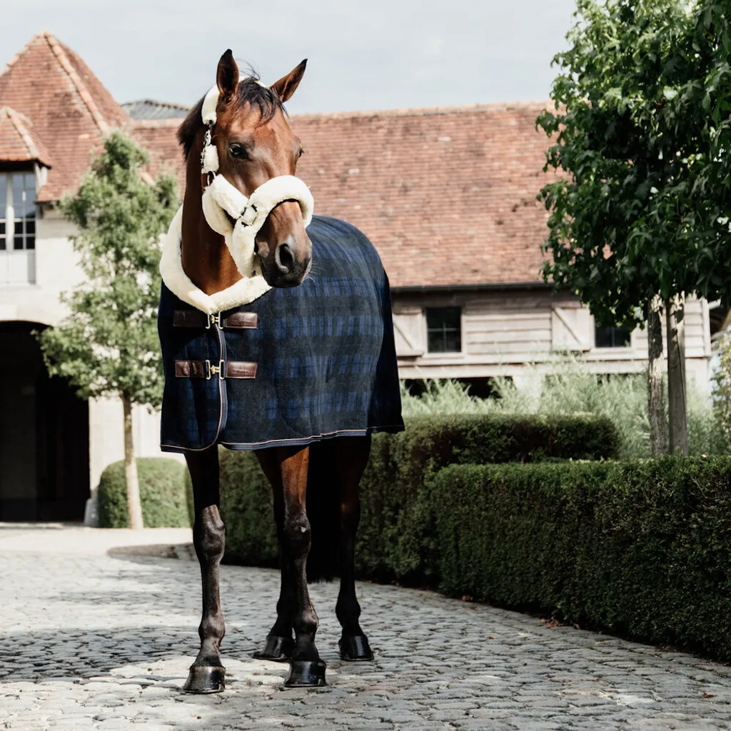 Chemise de concours pour cheval Kentucky Show Heavy à carreaux 130