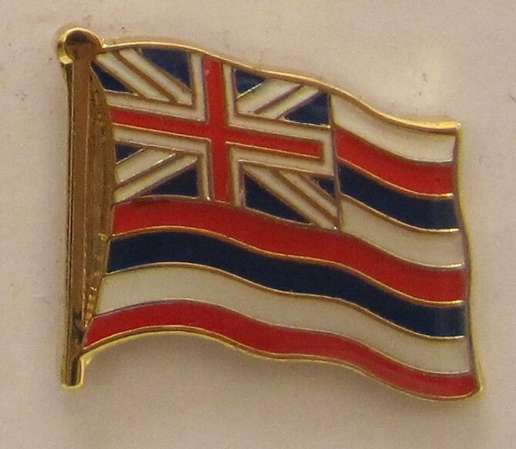 Hawaii Pin Anstecker Flagge Fahne Nationalflagge Produktbild 