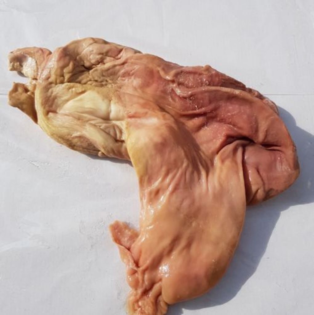 Schweinemagen frisch gesalzen Top | wurstmacher-shop