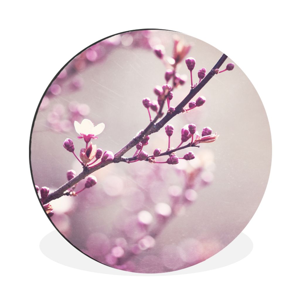 MuchoWow Aluminium Wandkreis Nahaufnahme der violetten Blüten einer Sakura Ø 30 cm Wanddeko Modern Wohnzimmer - Wand Bild - Wohnzimmer - Runde ...