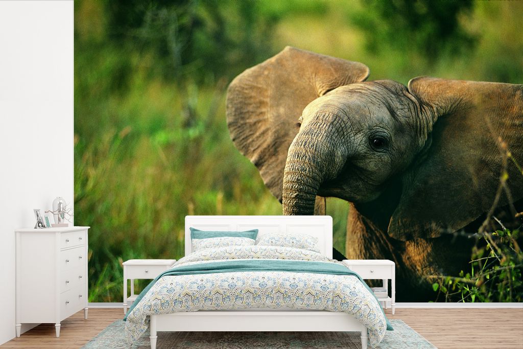 MuchoWow Fototapete für Wohnzimmer oder Schlafzimmer Wandtapete Vinyl Motivtapete Afrikanischer Elefant mit Schlappohren - 525x350 cm - Das Hint...