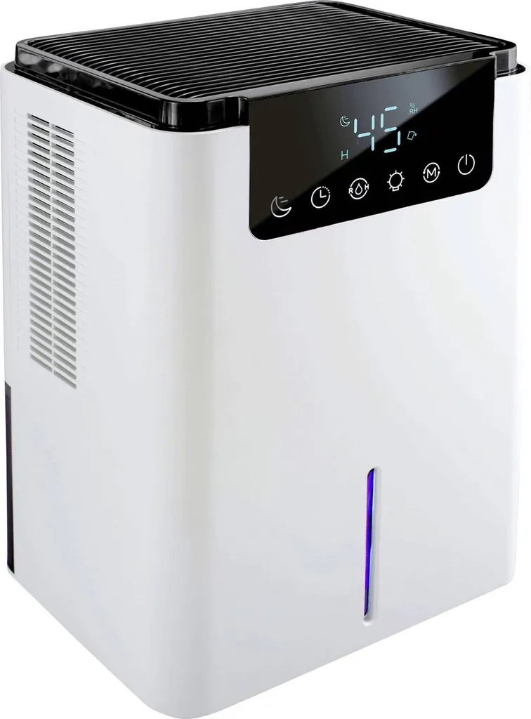 Déshumidificateur X4 Life D2 pour Sécher le Linge et Assainir la Maison