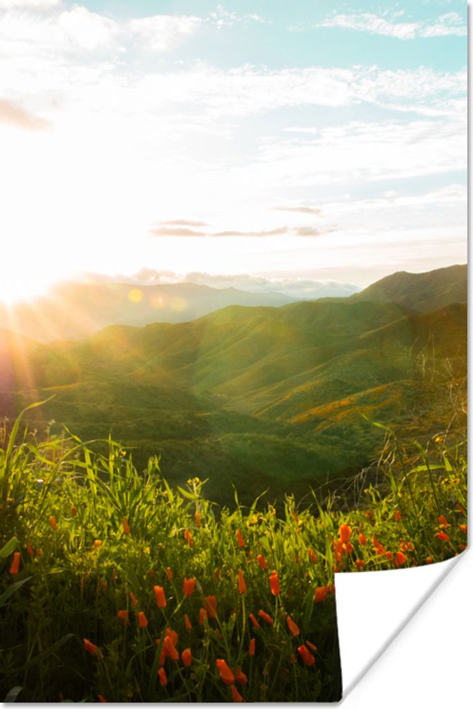 MuchoWow Poster Hügel - Sonnenuntergang - Gras - Grün 20x30 cm - Papierdruck