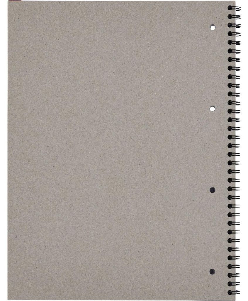 Landré® 400065715 Collegeblock mit Register - A4+, kariert, Produktbild 