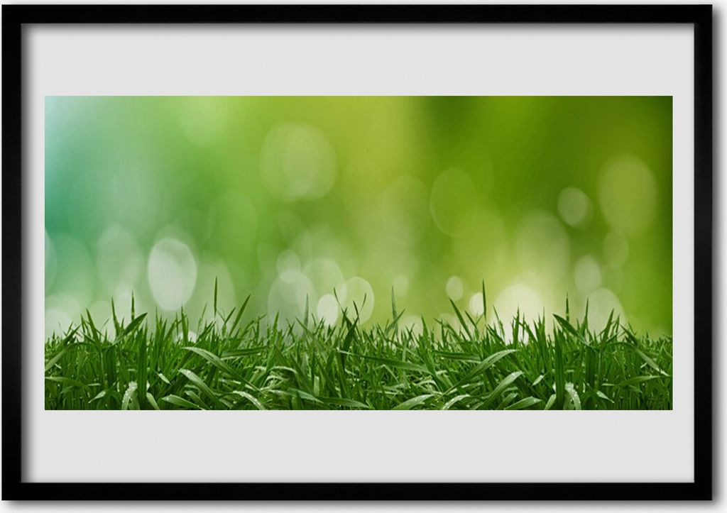 Bild 100x70 MDF-Rahmen Wandkunst Gras Natur Pflanze