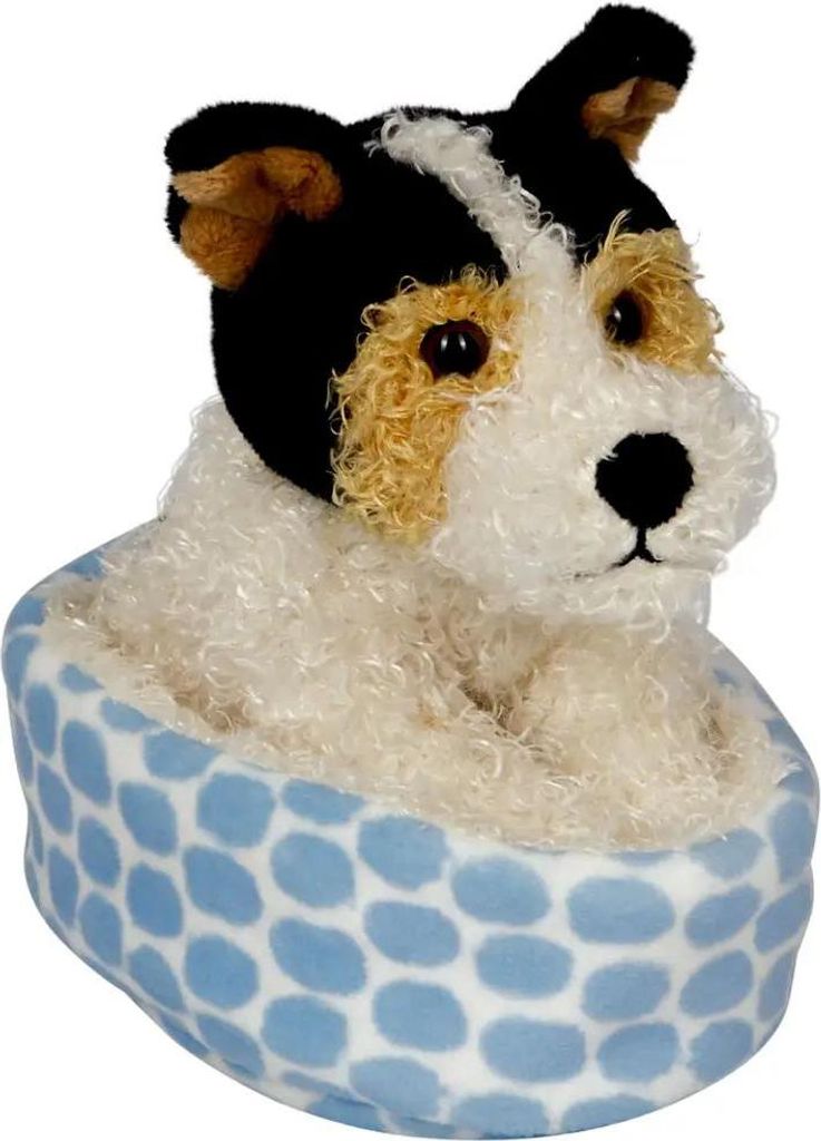 Coppenrath Verlag Foxterrier Boomer im Korb Produktbild 